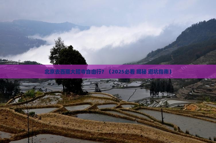 北京去西藏大昭寺自由行