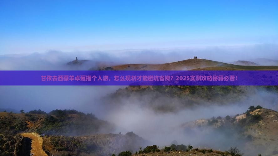 甘孜去西藏羊卓雍措个人游