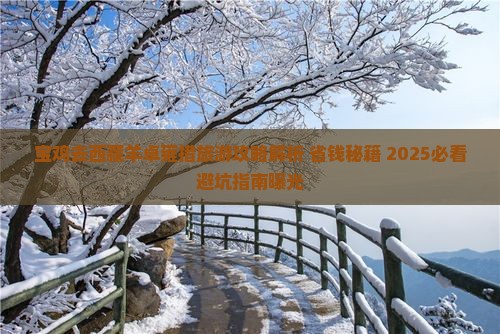 宝鸡去西藏羊卓雍措旅游