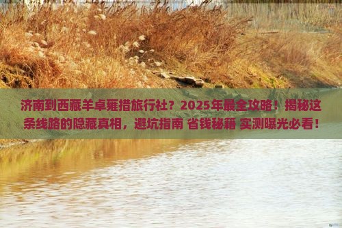 济南到西藏羊卓雍措旅行社