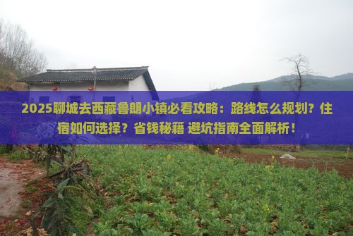 聊城去西藏鲁朗小镇攻略