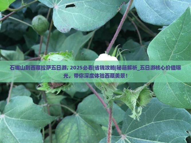 石嘴山到西藏拉萨五日游