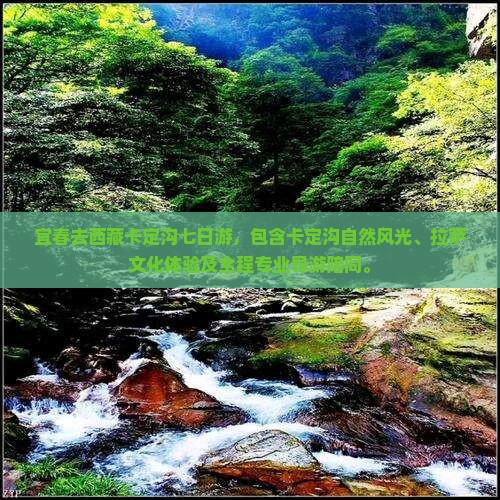宜春去西藏卡定沟七日游