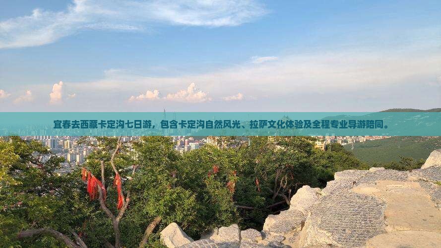 宜春去西藏卡定沟七日游