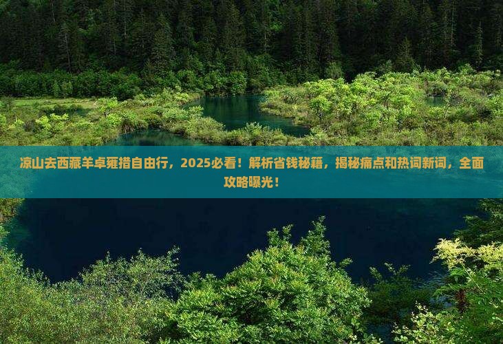 凉山去西藏羊卓雍措自由行