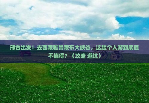 邢台到西藏雅鲁藏布大峡谷个人游