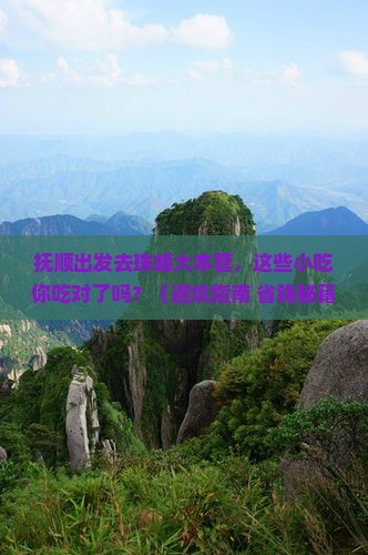 抚顺去西藏珠峰大本营旅游小吃