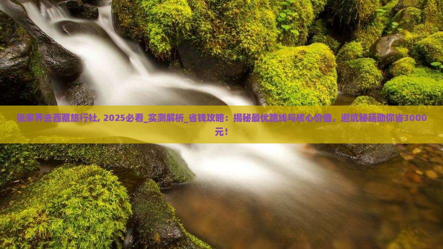张家界去西藏旅行社