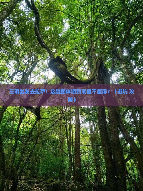 三明到西藏拉萨团体旅游