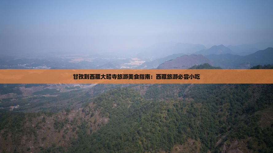 甘孜到西藏大昭寺旅游小吃