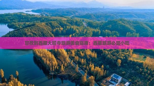 甘孜到西藏大昭寺旅游小吃