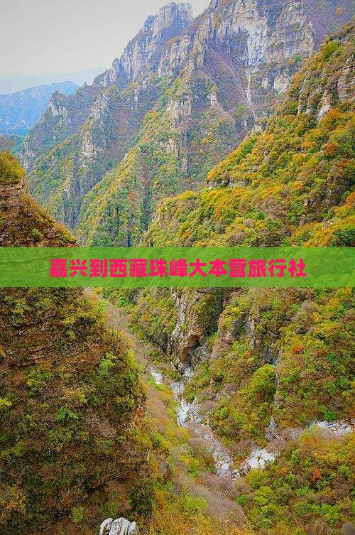 嘉兴到西藏珠峰大本营旅行社