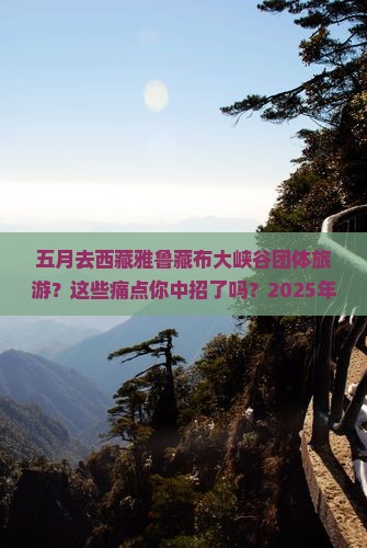 五月去西藏雅鲁藏布大峡谷团体旅游