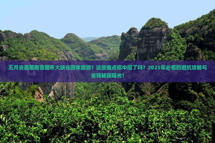 五月去西藏雅鲁藏布大峡谷团体旅游