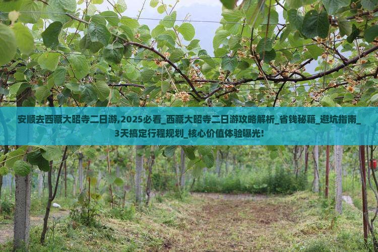 安顺去西藏大昭寺二日游