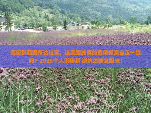 德宏到西藏布达拉宫个人游