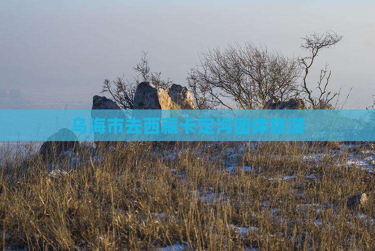 乌海市去西藏卡定沟团体旅游