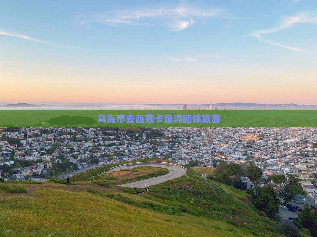 乌海市去西藏卡定沟团体旅游