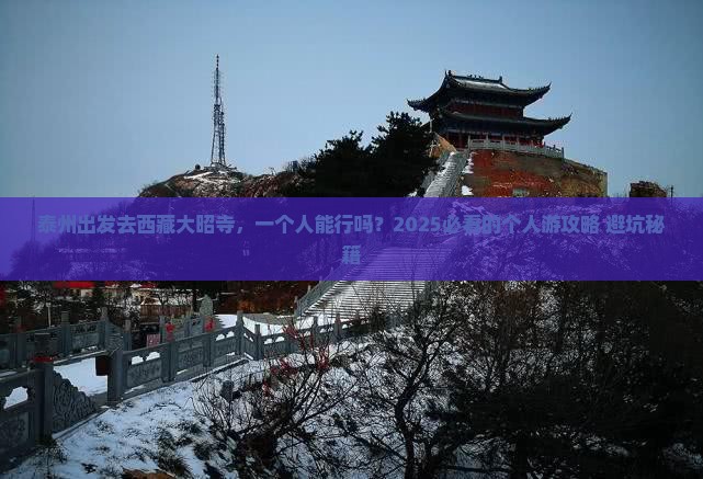 泰州去西藏大昭寺个人游