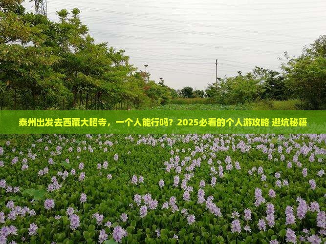 泰州去西藏大昭寺个人游