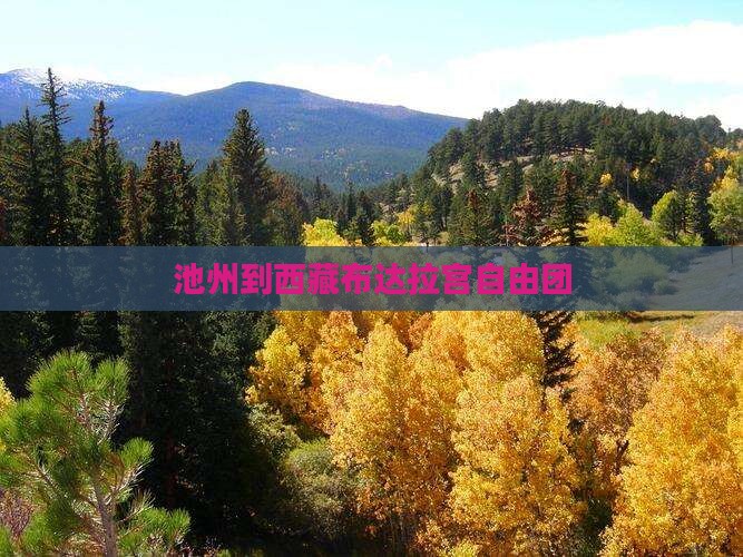 池州到西藏布达拉宫自由团