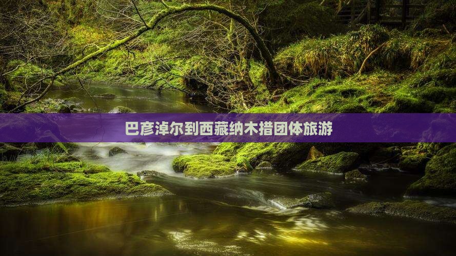 巴彦淖尔到西藏纳木措团体旅游