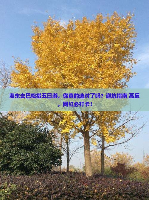 海东去西藏巴松措五日游