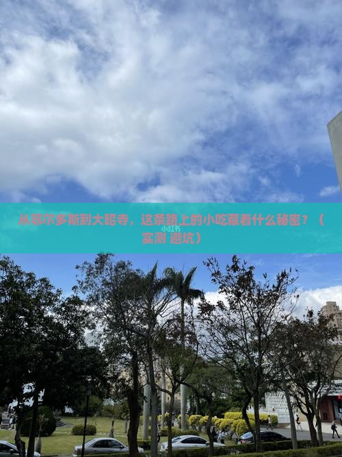 鄂尔多斯去西藏大昭寺旅游小吃