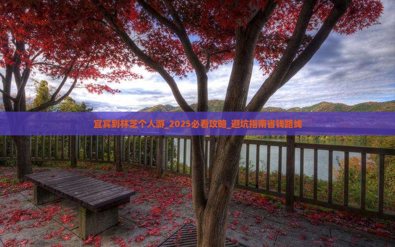 宜宾到西藏林芝个人游