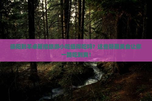 德阳到西藏羊卓雍措旅游小吃 德阳到西藏羊卓雍措旅游小吃