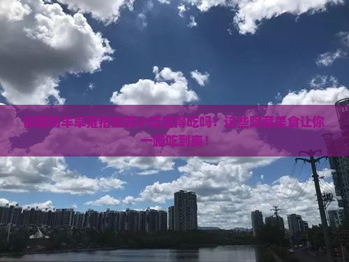 德阳到西藏羊卓雍措旅游小吃 德阳到西藏羊卓雍措旅游小吃