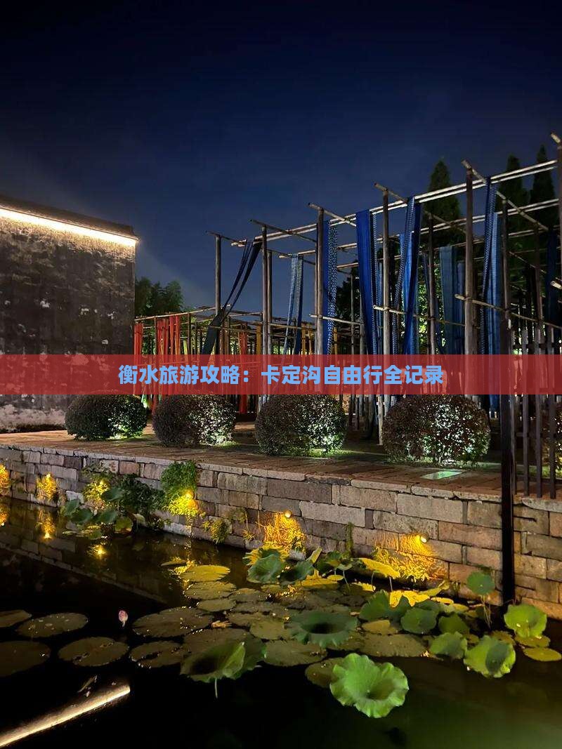 衡水去西藏卡定沟自由行