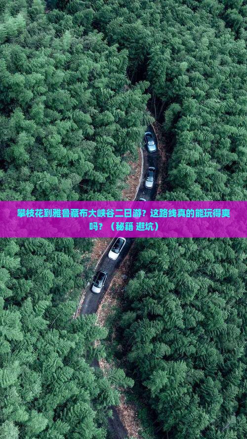 攀枝花到西藏雅鲁藏布大峡谷二日游