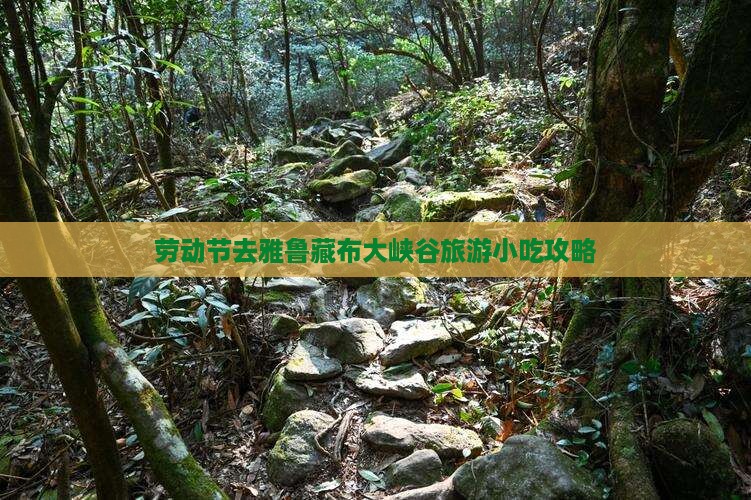 劳动节去西藏雅鲁藏布大峡谷旅游小吃