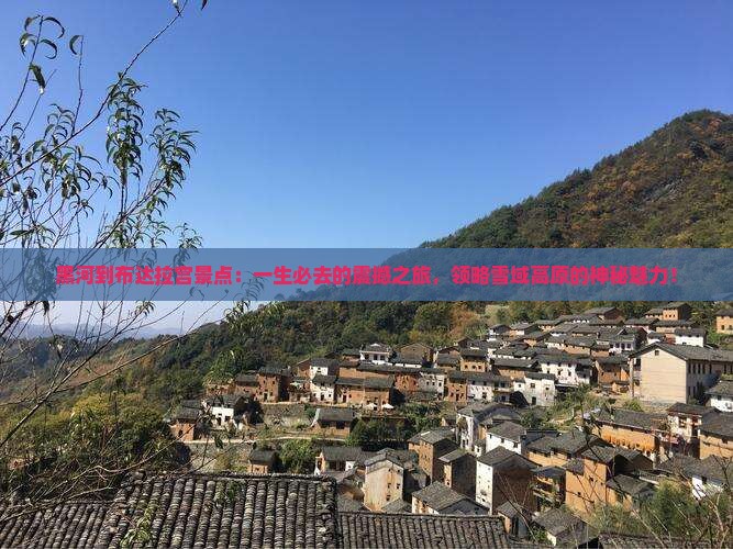 黑河到西藏布达拉宫景点