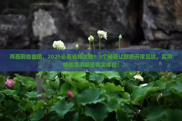鸡西到西藏自由团