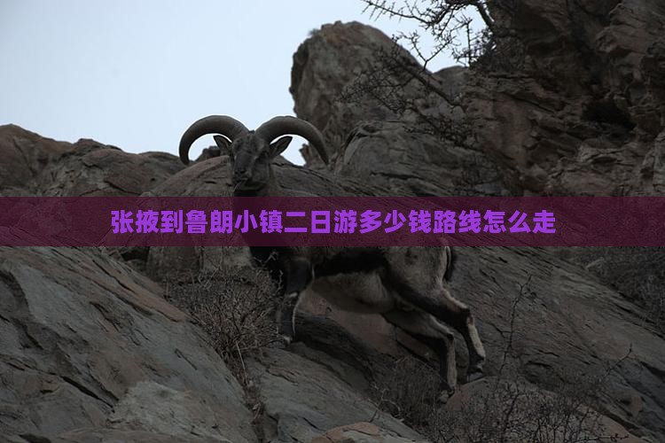 张掖到西藏鲁朗小镇二日游