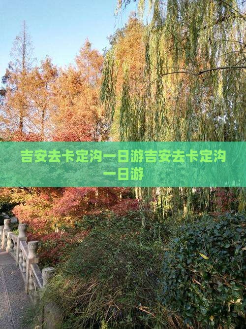 吉安去西藏卡定沟一日