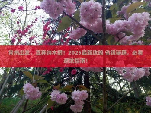 常州去西藏纳木措旅行社