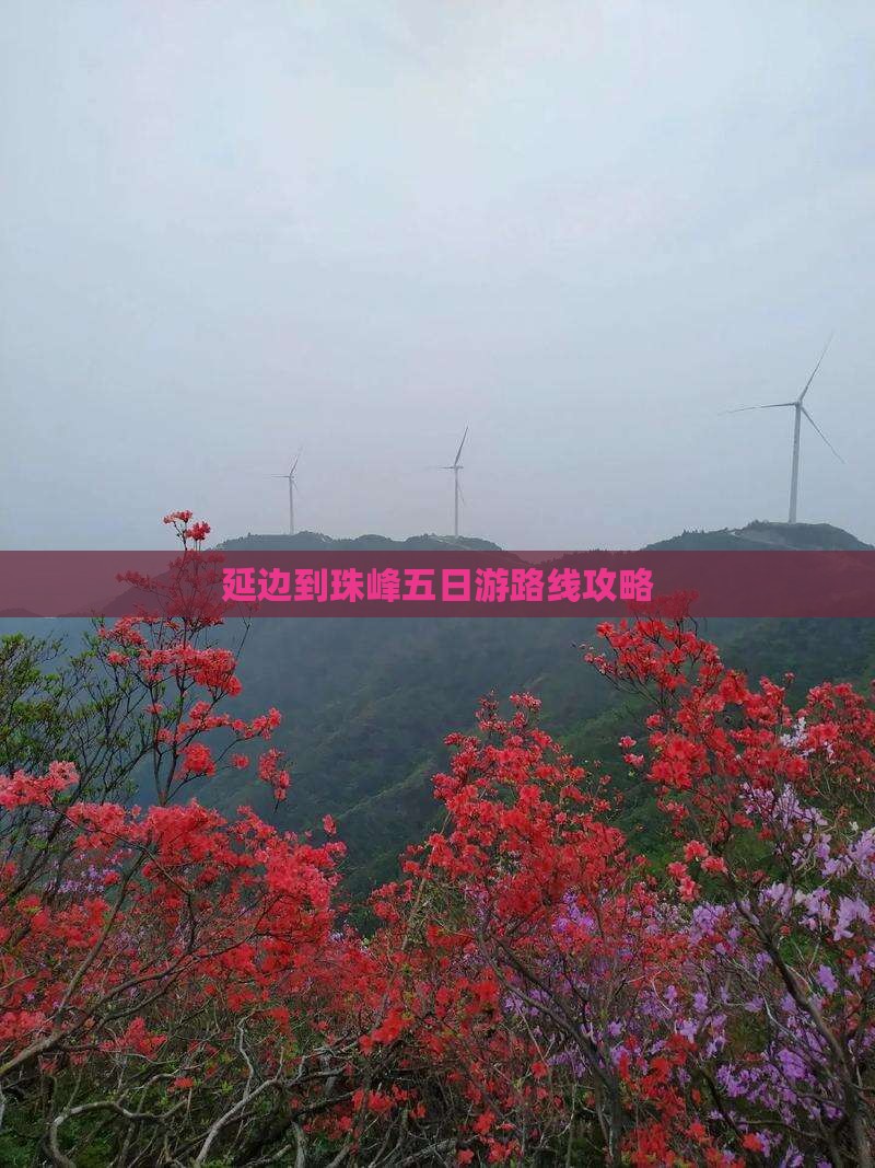 延边到珠峰五日游路线攻略