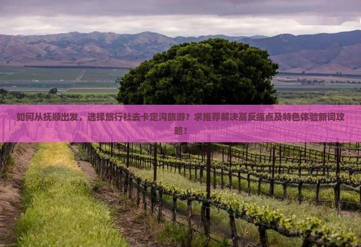 如何从抚顺出发，选择旅行社去卡定沟旅游？求推荐解决高反痛点及特色体验新词攻略！