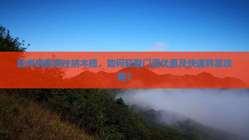 抚州游客前往纳木措，如何获取门票优惠及快速购票攻略？