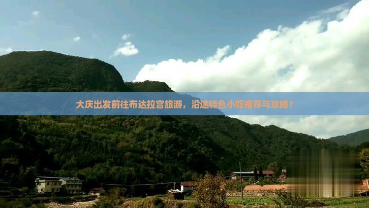 大庆出发前往布达拉宫旅游，沿途特色小吃推荐与攻略？