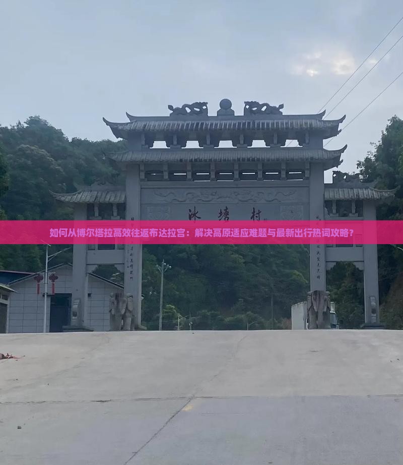 如何从博尔塔拉高效往返布达拉宫：解决高原适应难题与最新出行热词攻略？