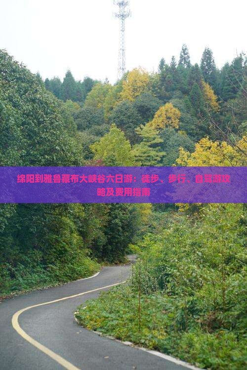绵阳到雅鲁藏布大峡谷六日游：徒步、步行、自驾游攻略及费用指南