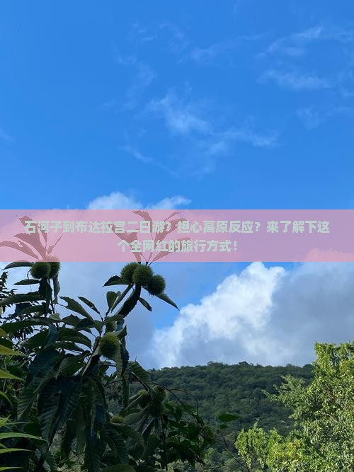 石河子到布达拉宫二日游？担心高原反应？来了解下这个全网红的旅行方式！