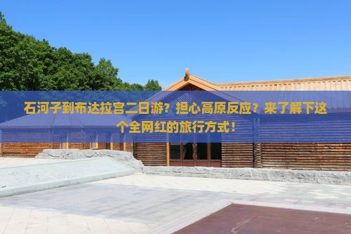石河子到布达拉宫二日游？担心高原反应？来了解下这个全网红的旅行方式！