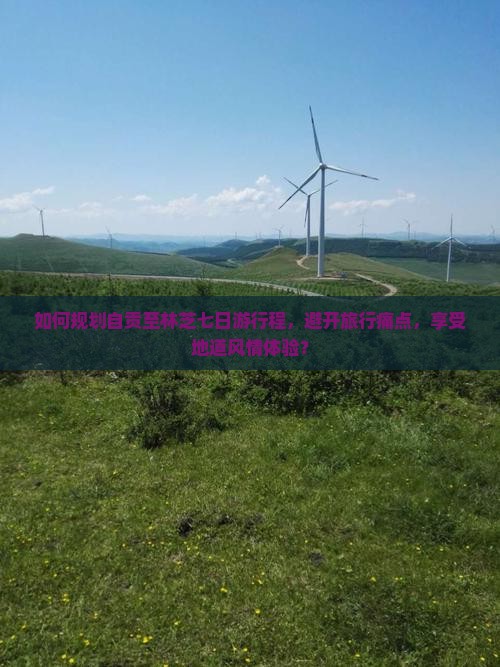 如何规划自贡至林芝七日游行程，避开旅行痛点，享受地道风情体验？