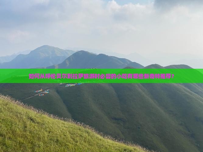 如何从呼伦贝尔到拉萨旅游时必尝的小吃有哪些新奇特推荐？