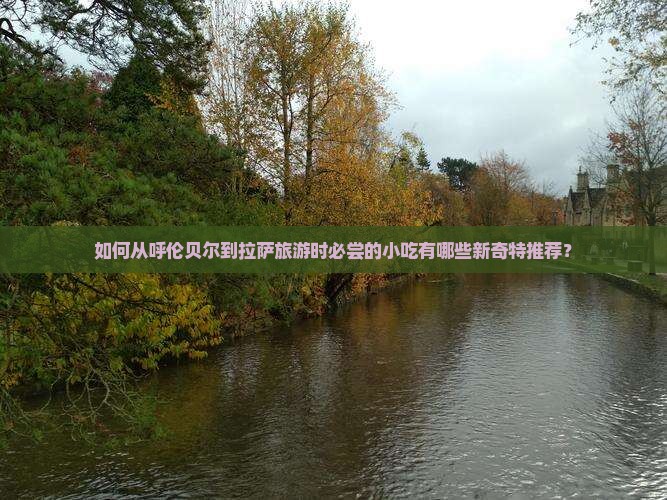 如何从呼伦贝尔到拉萨旅游时必尝的小吃有哪些新奇特推荐？
